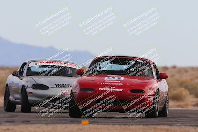 media/Feb-17-2024-Nasa AZ (Sat) [[ca3372609e]]/4-Race Group A/Session 2 Qualify (Turn 16)/